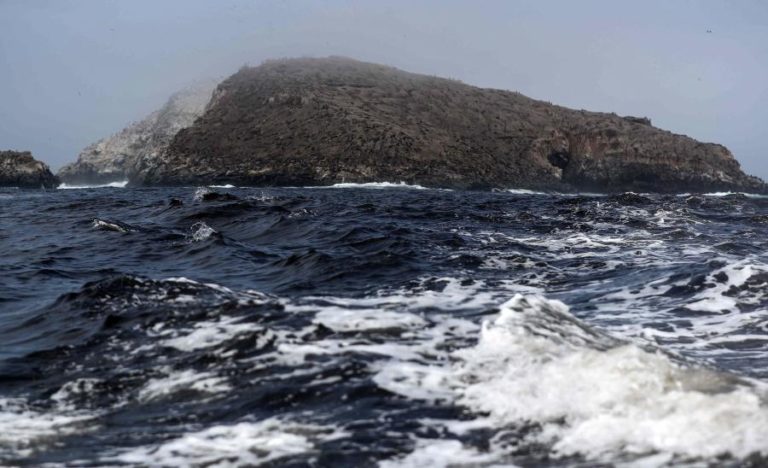 Superfície global do oceano atingiu a temperatura recorde de 21 graus em 2024