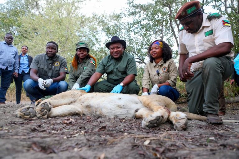 Noruega dá 5,6 ME para apoiar atividades no parque moçambicano da Gorongosa