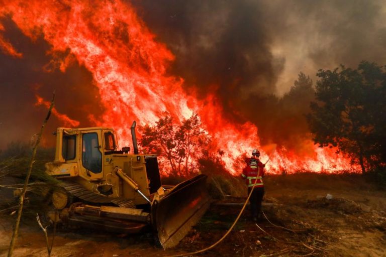 Quase um terço dos incêndios investigados este ano tiveram como origem fogo posto