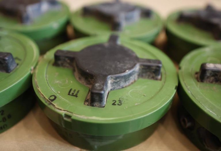 ONG Halo Trust dá exemplo de Moçambique para pedir financiamento para desminagem