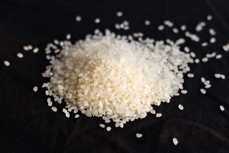 Portugal integra nova aliança de oito países em defesa do arroz produzido na UE