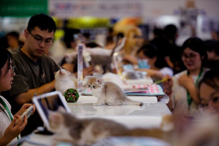 Indústria transformadora da China recupera em agosto – Caixin