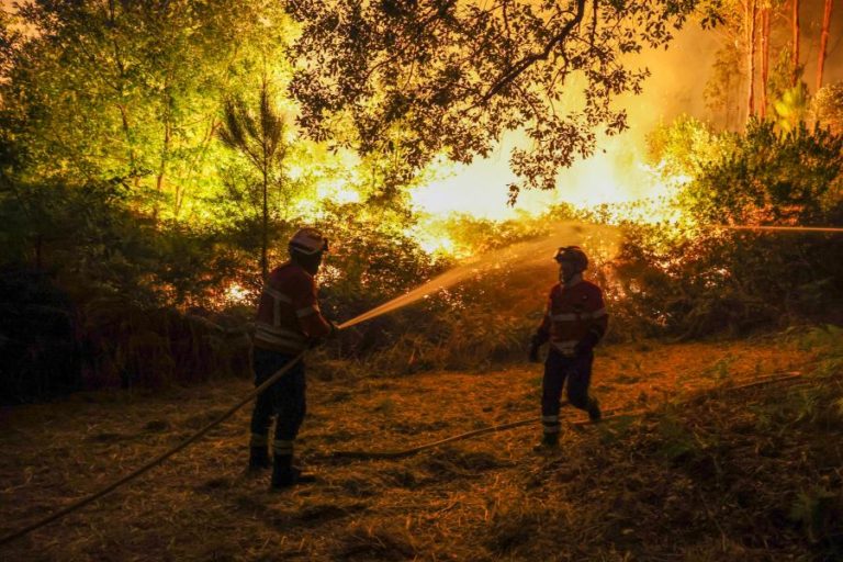 Associação Zero defende importância dos planos de ação climática na prevenção e redução de incêndios