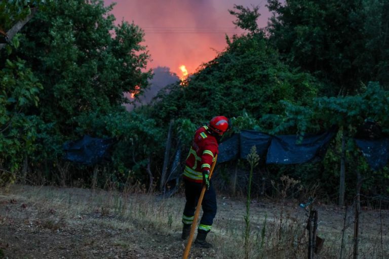 Ministra diz ser preciso fazer avaliação profunda ao combate e prevenção aos incêndios