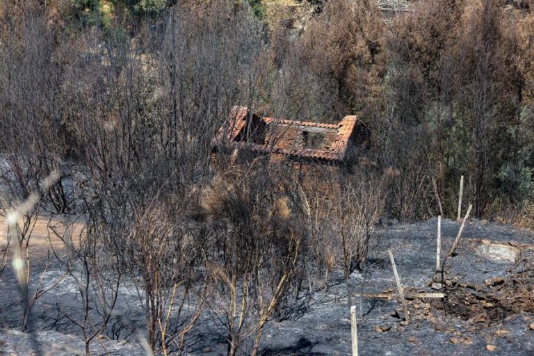 Governo prorroga prazos para cumprir obrigações fiscais nas áreas afetadas pelos incêndios
