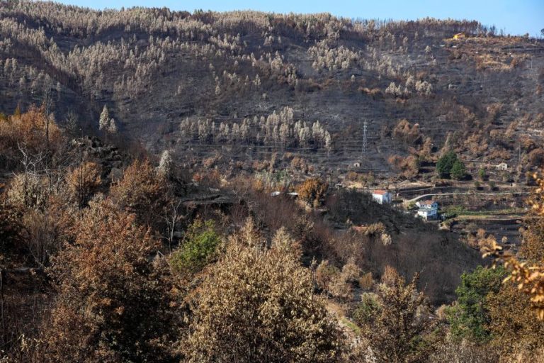 Cerca de 80 concelhos de nove distritos em perigo máximo de incêndio rural