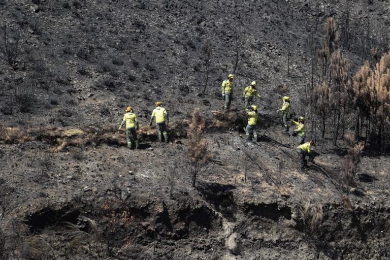 Intervenções emergentes decorrentes dos incêndios  têm o valor de 3,7 milhões de euros