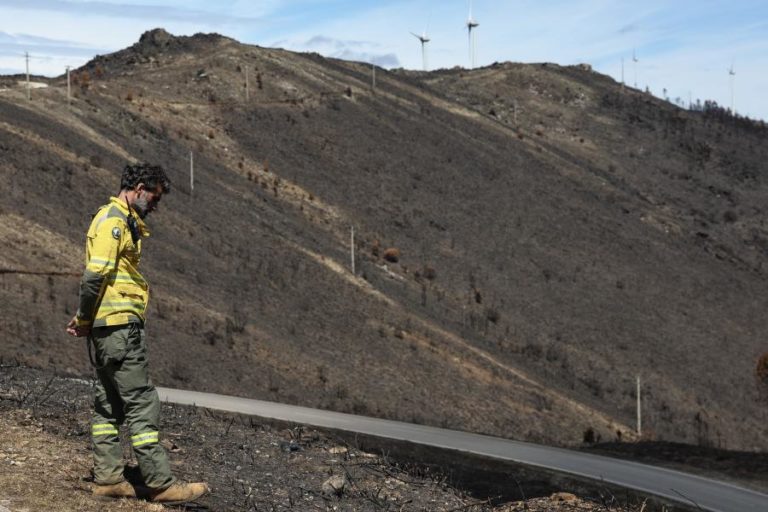 Mais de 50 concelhos de oito distritos em perigo máximo de incêndio rural