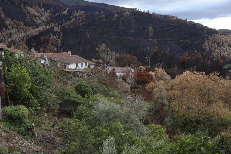 Dezassete concelhos de quatro distritos em perigo máximo de incêndio