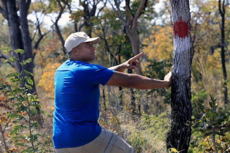 Minas, o inimigo invisível que não deixa esquecer a guerra no sul de Angola
