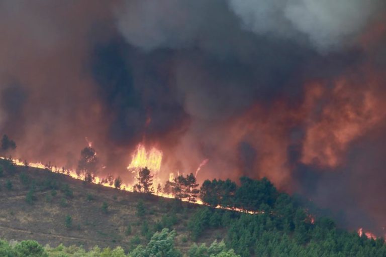 Mais de 20 concelhos de sete distritos em perigo máximo de incêndio