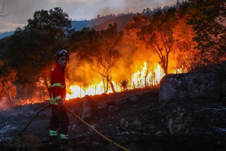 Fogo em Viseu mantém duas frentes ativas