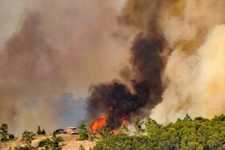 Incêndio de Aljezur volta a ganhar dimensão devido a projeções para fora do perímetro controlado