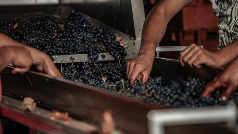 Ontário adiciona 24 variedades de uvas à VQA