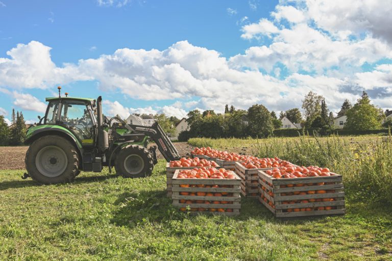 Desfrute do outono no Canadá com a colheita de maçãs e abóboras