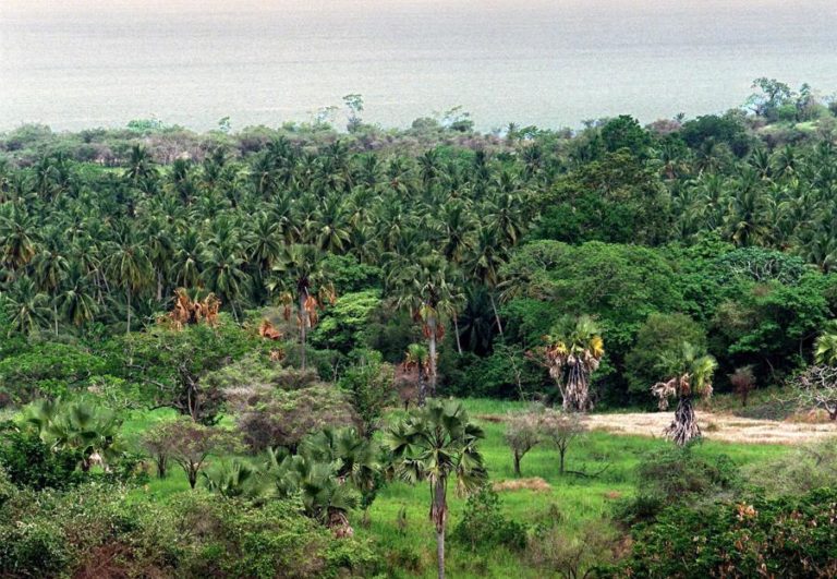 Turismo vale 11% do PIB de São Tomé e Príncipe