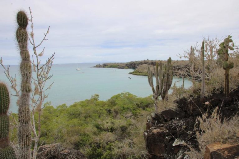 Equador descarta Galápagos para albergar nova base militar dos EUA
