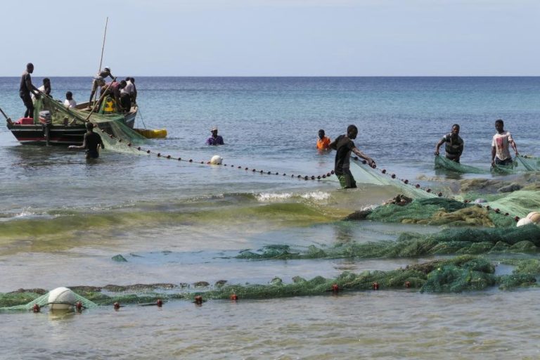 Moçambique pede colaboração para resultados duradouros na conservação marinha