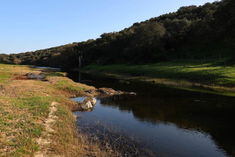 Autarcas de Portalegre contestam “bloqueio ambientalista” à Barragem do Pisão