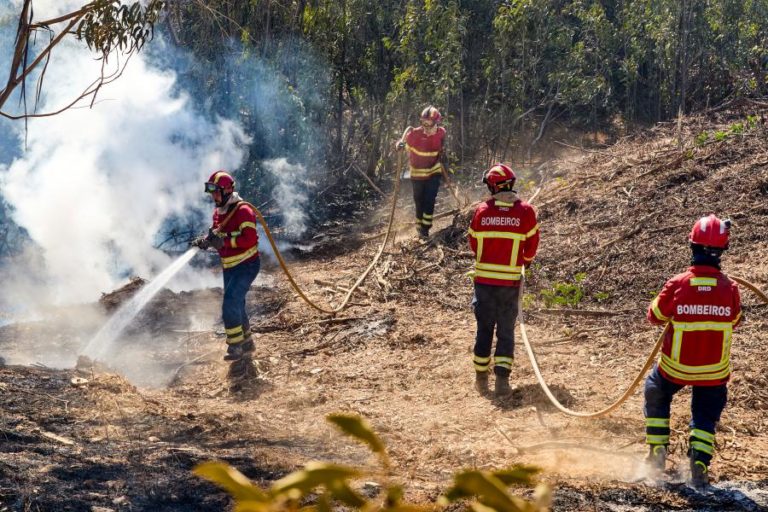 Fogo de sábado na Póvoa de Lanhoso está extinto