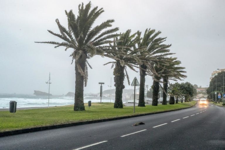 Quatro  habitações ficaram inundadas  e 10 viaturas danificadas na ilha de São Miguel