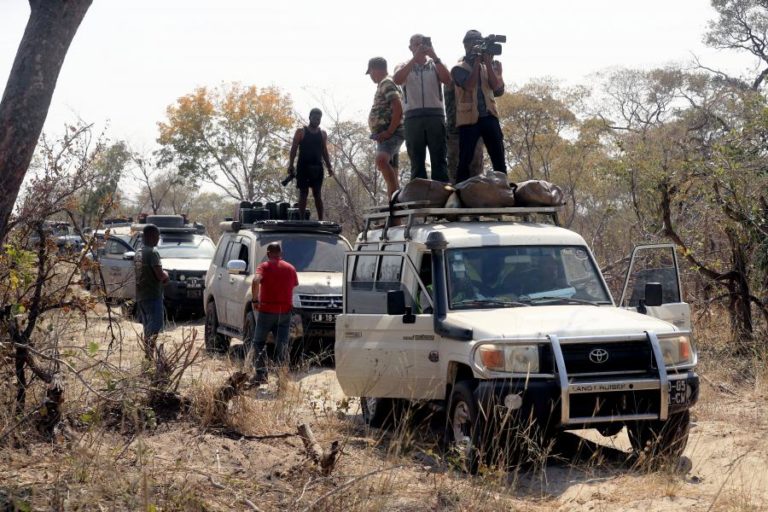 Aventureiros sem medo atravessam Angola até ao fim da picada