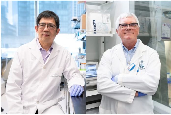 B4-06-VT NANOMEDICINE CANCRO U OF T