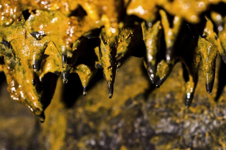 Gruta do Carvão em Ponta Delgada recebe 28 mil visitantes por ano – Associação