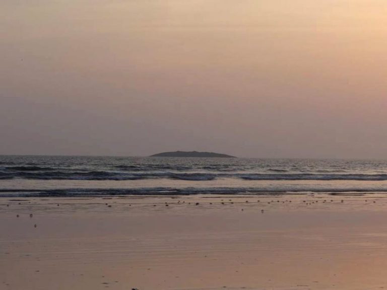 Portugal e Brasil reforçam cooperação científica em mar profundo