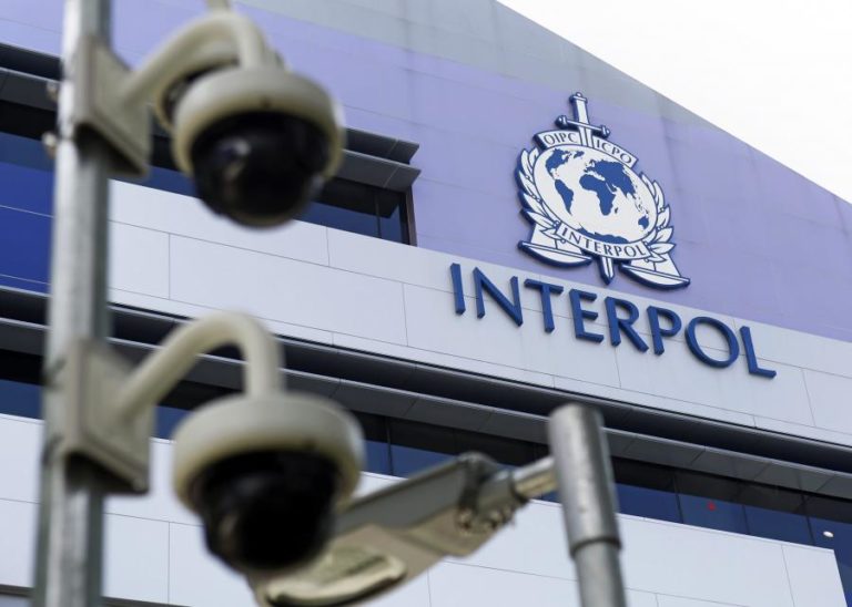 Interpol lança ação global contra criminosos que causam desflorestação