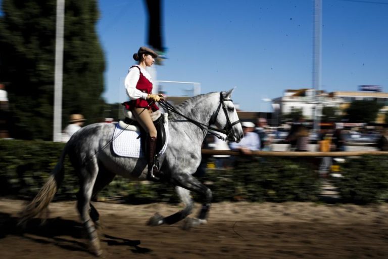 Golegã investe 600 mil euros na Feira do Cavalo e quer torná-la património imaterial