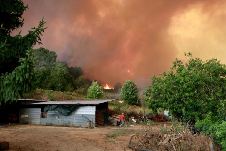 Governo apoia com 44ME agricultores afetados pelos incêndios entre 02 de maio e 15 de outubro