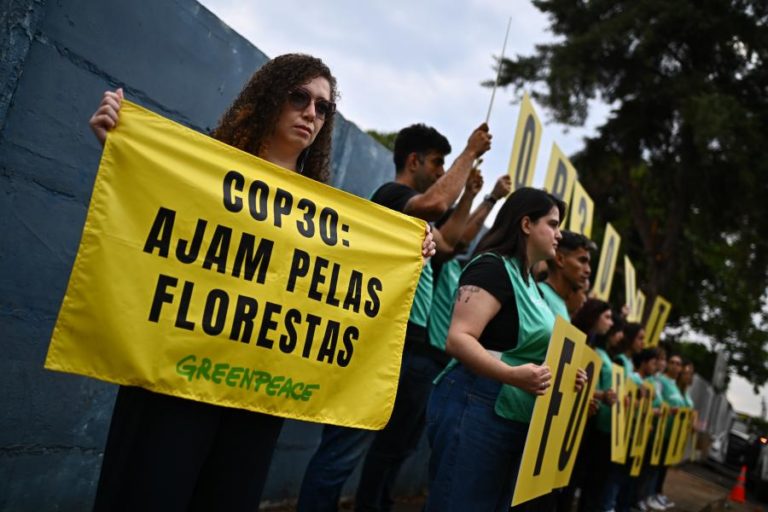Organizações vão à COP30 defender financiamento público na luta da contra as alterações climáticas