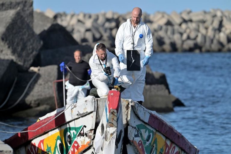 Embarcação com 248 pessoas, incluindo sete bebés, chega às ilhas Canárias