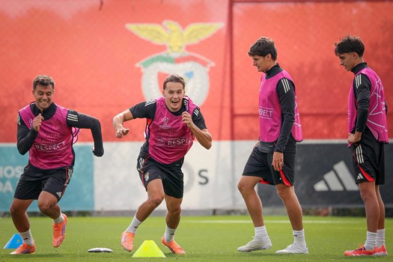 Amar Dedic recuperado no Benfica antes da receção ao Bayer Leverkusen