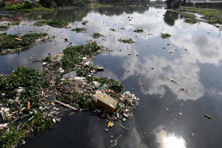 COP30: Deputada indígena pede que fundos não se concentrem na Amazónia