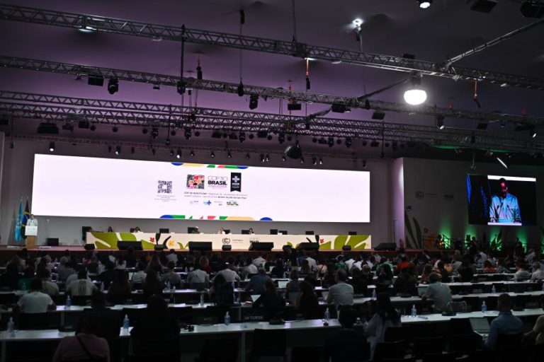 COP30: Compromissos climáticos centrados na redução do carbono e não nas emissões – relatório