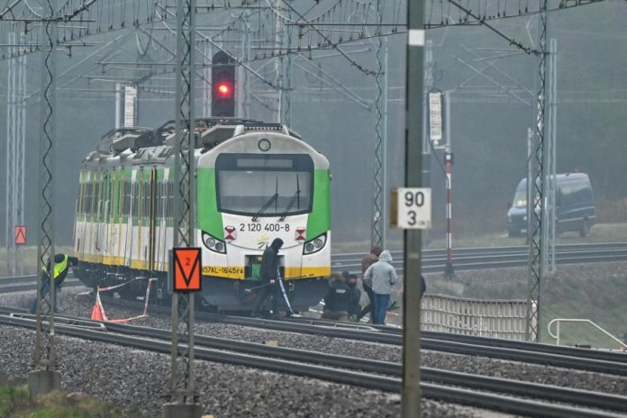 46044849.jpg