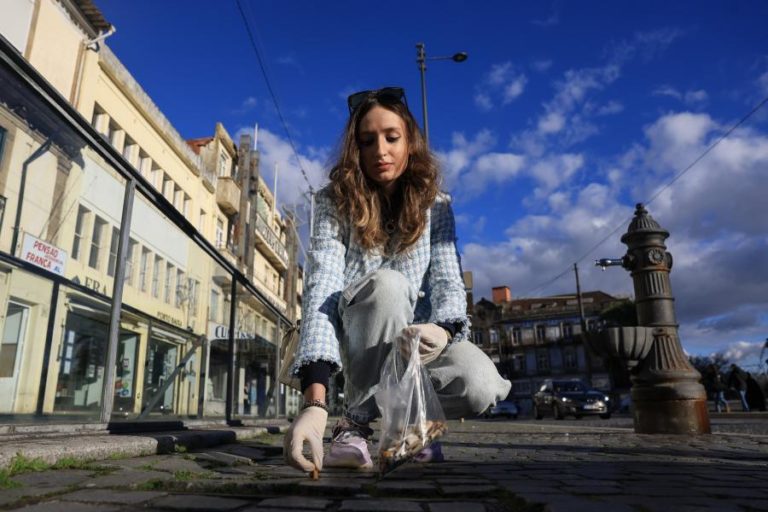 Cerca de 500 estudantes recolheram milhares de pontas de cigarro das ruas do Porto