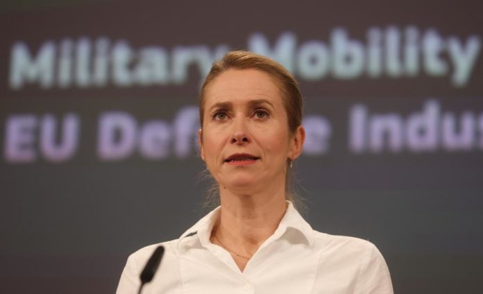 46058307.jpg