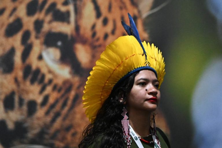 Aprovado projeto final do COP30 sem menção às energias fósseis