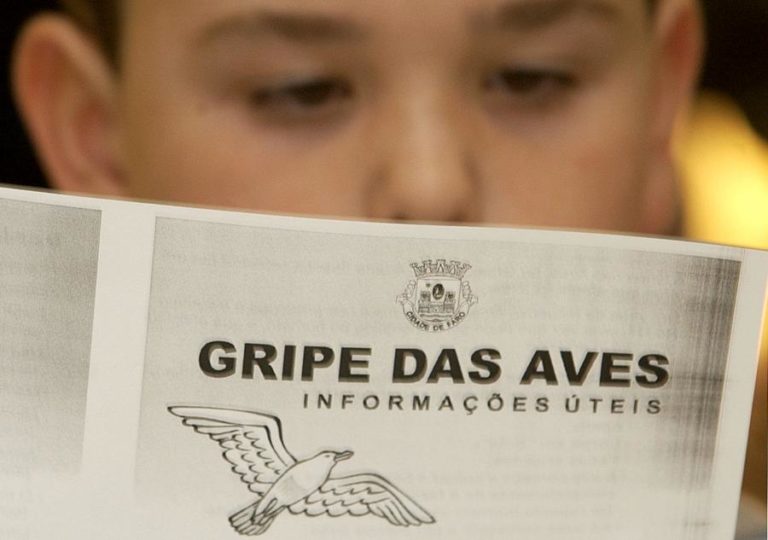 Gripe das aves volta a ser detetada em Aveiro e Santarém