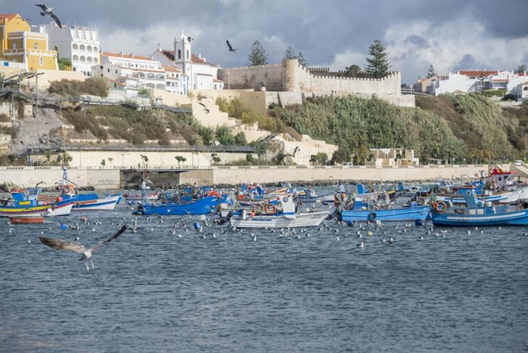 Lançado concurso para estudo de impacto ambiental da dessalinizadora de Sines