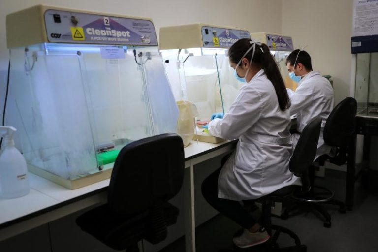 i3S mimetiza tumores cerebrais pediátricos para adaptar fármacos e terapias