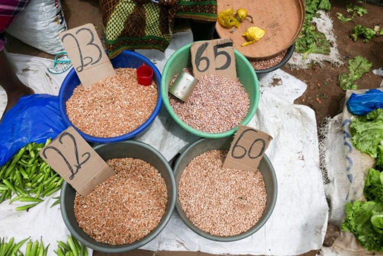 Falta de financiamento provoca “lacunas significativas” no apoio a Moçambique – ONU