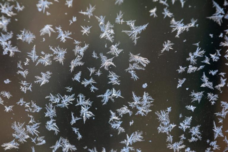 Seis distritos em aviso laranja e quatro em amarelo para queda de neve hoje e domingo