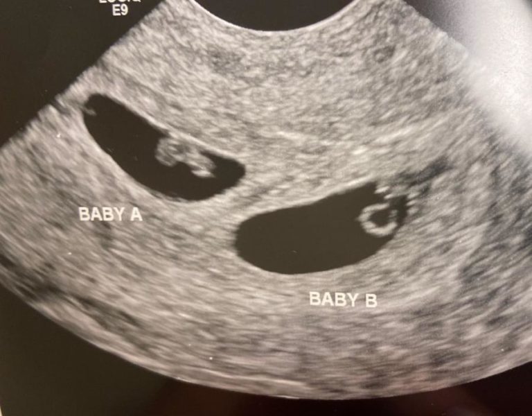 Elites chinesas usam gestação de substituição nos EUA para ter dezenas de filhos