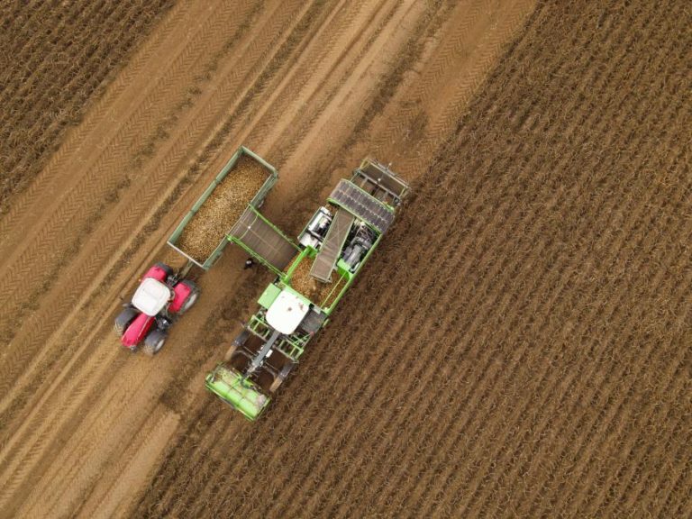 Estudo influente sobre glifosato retirado após décadas de alertas de envolvimento da Monsanto