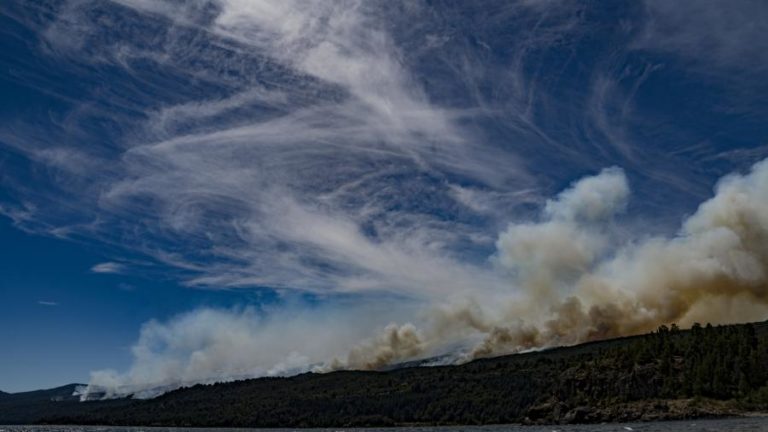 Incêndios florestais devastam cerca de 2.100 hectares na Patagónia argentina