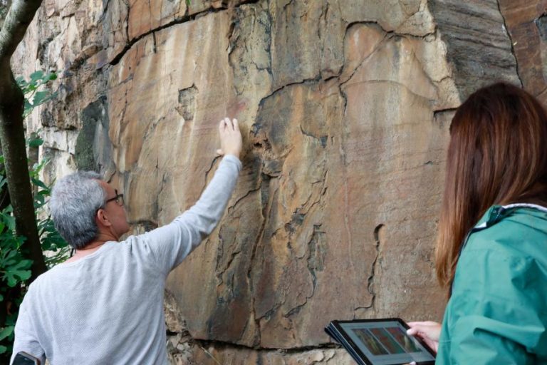 Sítio arqueológico da Ribeira de Piscos no Côa reabre por inteiro ao público em janeiro